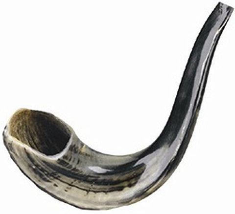 Ultimate Judaica Kosher Shofar Ram's Horns - Shofar Size #4 - 15.5 inch  - 17.5 inch 