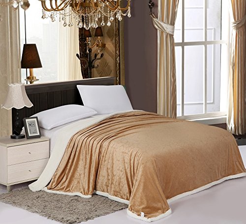 Simple Elegance Luxurious Reversible Sherpa Lining Carved Velboa Blanket - Queen (Mocha)