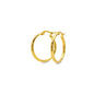 Ben and Jonah Ladies 18 KT Gold Plated 10MM Hoop Earrings