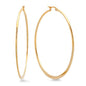 Ben and Jonah Ladies 18k Gold Plated Stainless Steel 60mm Hoop Earrings