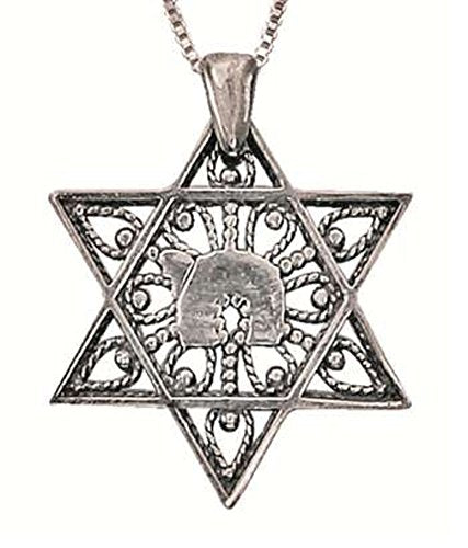 Silver Chai In Star Of David Necklace - Chain 19 inch  Pendant 15/16 inch  W X 1 inch  H