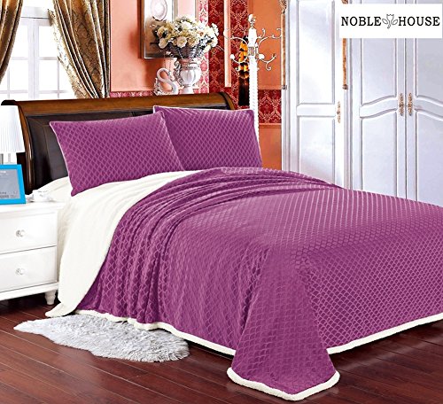 Cozy Living Ultra Soft Reversible Queen Blanket with Sherpa Lining - Mauve